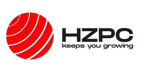 Challenges And Opportunities For Potato Company Hzpc In China Potatopro