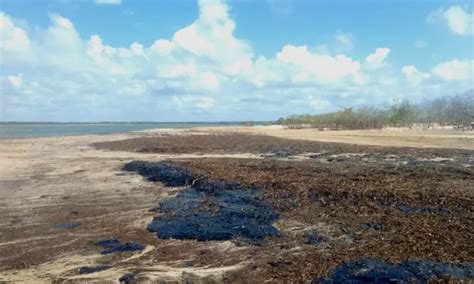 Acidentes Ambientais No Brasil Estudos De Caso Mundo Ecologia