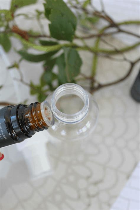 DIY Essential Oil Spider Repellent Spray - The Homespun Hydrangea