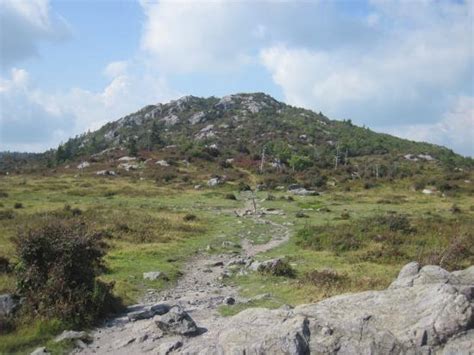 mount rogers national recreation area alchetron   social