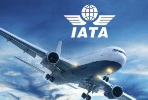 IATA Lanza Nueva Plaforma IATA Connect Noticias De Turismo Arecoa