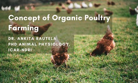 Concept Of Organic Poultry Farming SR Publications