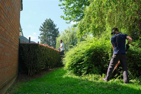 Photos Espace Vert Particulier Bois Environnement Services