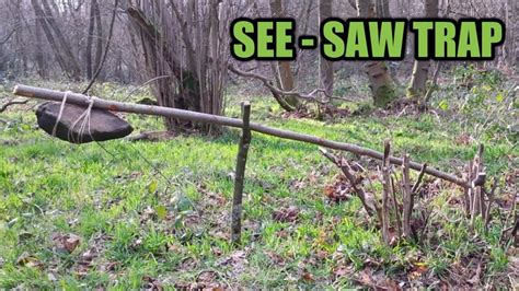 See Saw Snare Trap Primitive Survival Youtube