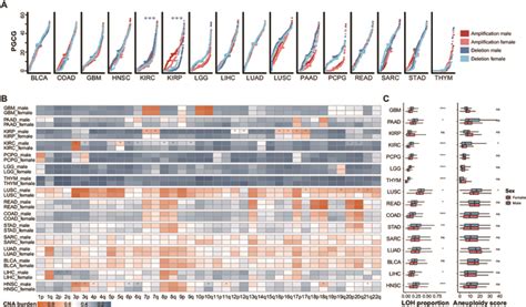 Identification And Analysis Of Sex Biased Copy Number Alterations Health Data Science