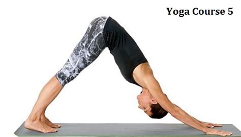 5 Essential Yoga Poses For Good Body