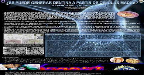 Poster Científico Generación de Dentina a partir de Células Madre