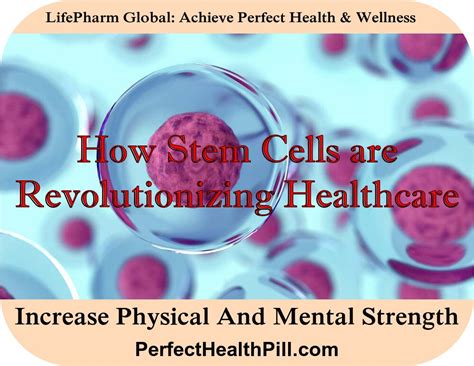 How Stem Cells Are Revolutionizing Healthcare Perfect Health Pill