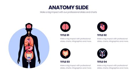 Anatomy PowerPoint Infographics | Anatomy Infographic Templates ...