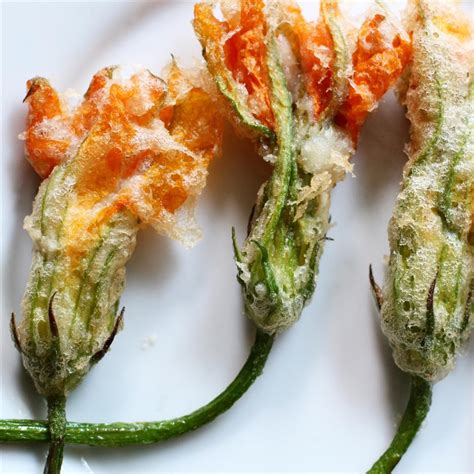 Fried Stuffed Squash Blossoms Allrecipes