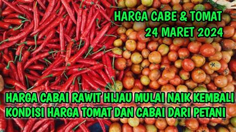 Harga Cabai Hari Ini 24 Maret 2024 Info Harga Cabe Rawit Hari Ini Di