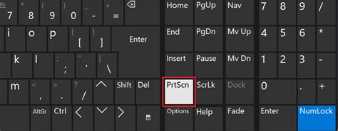 Print Screen Not Working In Windows 10 7 Ways To Fix It Techcult