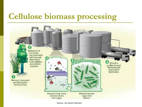 Ppt Bioenergy Powerpoint Presentation Free Download Id 1055529