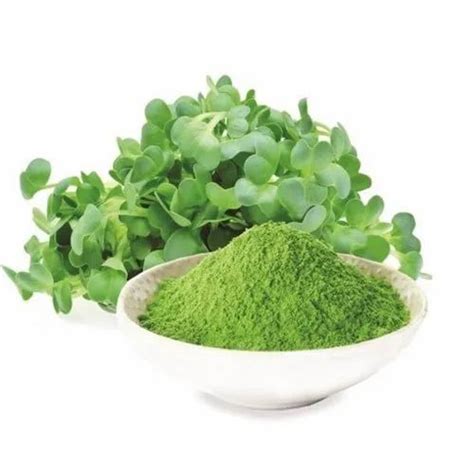 Alfalfa Leaf Powder 25 Kg At Rs 550 Kg In Bhavnagar ID 21845159230