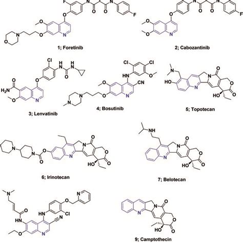 The Structures Of Some Quinoline Containing Anticancer Agents Under Download Scientific Diagram