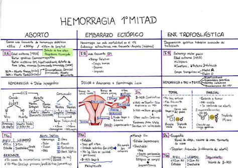 Res Menes De Hemorragias En El Embarazo Descarga Apuntes De