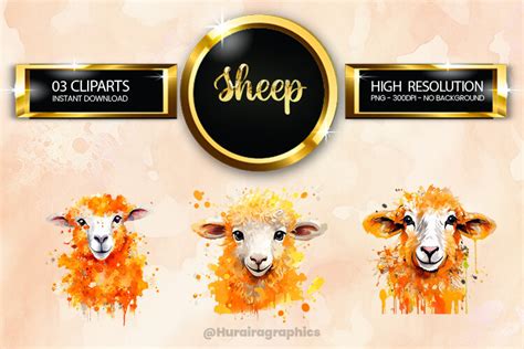 Sheep Clipart Bundle 03 Variations Graphic By Hurairagraphics