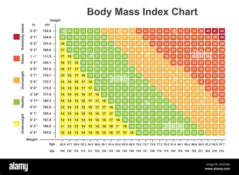 Body Mass Index Bmi Chart Bmi Calculator To Checking Your Body Mass