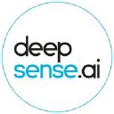 deepsenseai careers levelsfyi