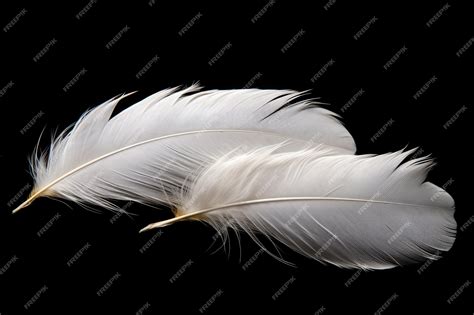 Premium AI Image | White duck feathers on black background