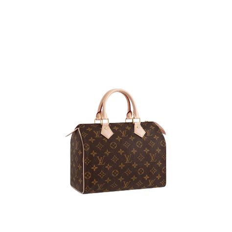 Louis Vuitton Monogram Come Abbinarlo Per Creare Outfit Di Classe — No