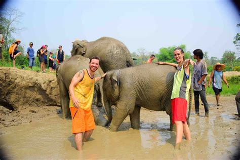 Que Reservas De Elefantes Visitar En Chiang Mai Pr Ctico