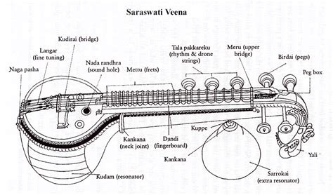indian saraswati veena indian musical instruments  notes