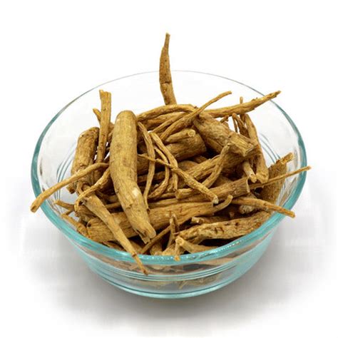 Wisconsin American Ginseng Root Prongs – Wisconsin Grown Ginseng LLC