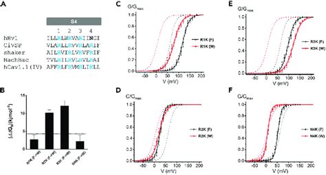 Double Mutant Cycle Analysis Indicates F150 Interacts With R2 And R3