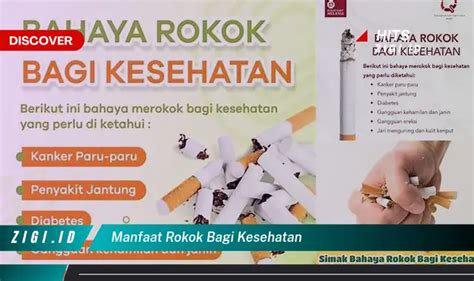 Temukan Manfaat Rokok Bagi Kesehatan Yang Wajib Kamu Intip