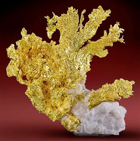 Crystalline Native Gold On White Quartz Matrix From The Eagle S Nest