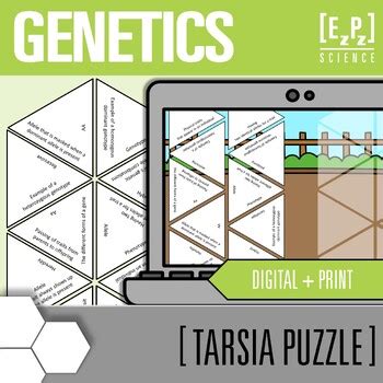 Genetics Vocabulary Activity Digital And Print Science Tarsia Puzzles