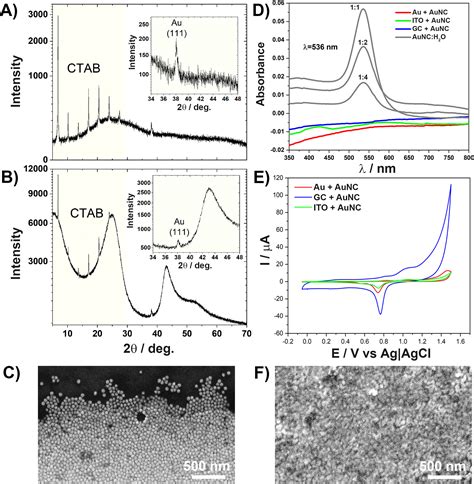 Deciphering The Molecular Mechanism Of Substrate Induced Assembly Of