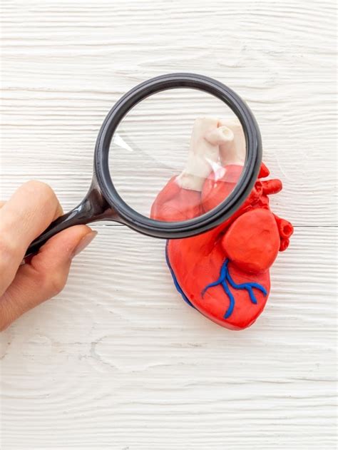 Is your heart healthy? Check with these essential tests