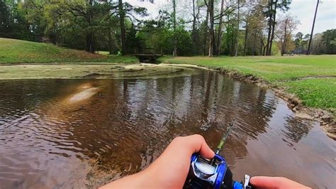 Golf Course Pond Hopping Ft NEWFishing YouTube