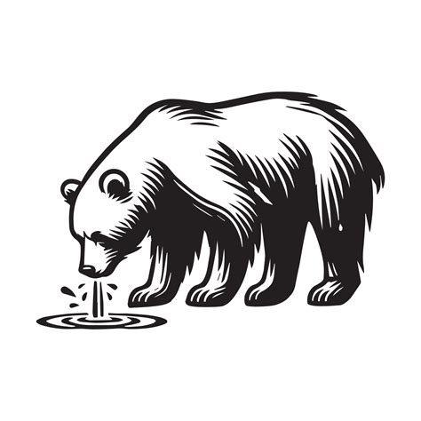 Bear Outline Clipart A Bear Drinking A Water Illustration In Black