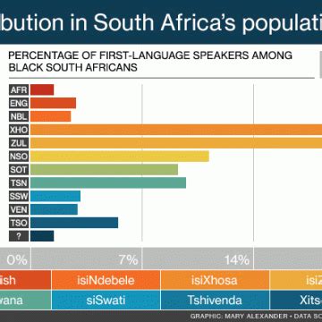 Animated infographic of South Africa's languages according to province ...