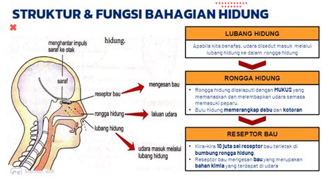 Sains Tingkatan 3 Bab 1 2021 Science Quizizz