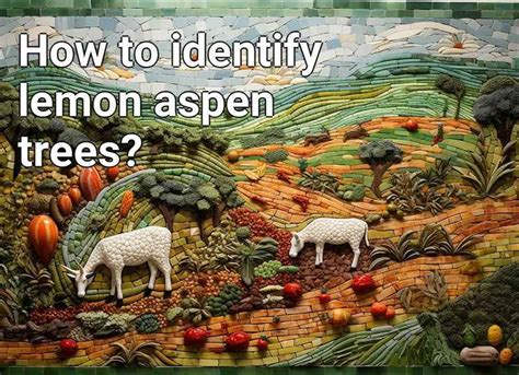 How to identify lemon aspen trees? – Agriculture.Gov.Capital