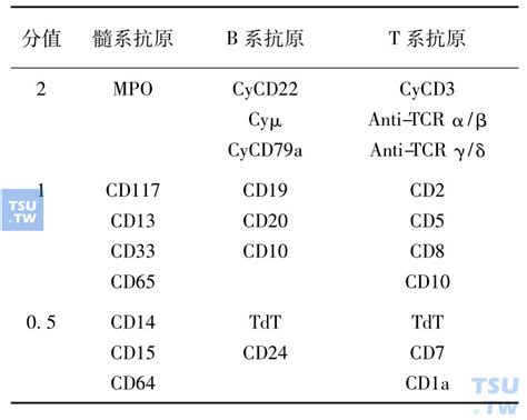 急性白血病的细胞形态、免疫表型和遗传学特征与诊断分型 血液病学 天山医学院