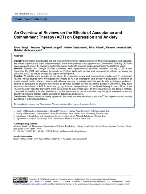 PDF An Overview Of Reviews On The Effects Of Acceptance And