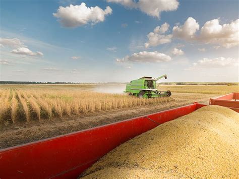 Planejamento Agrícola: Maximizando a Produtividade no Campo