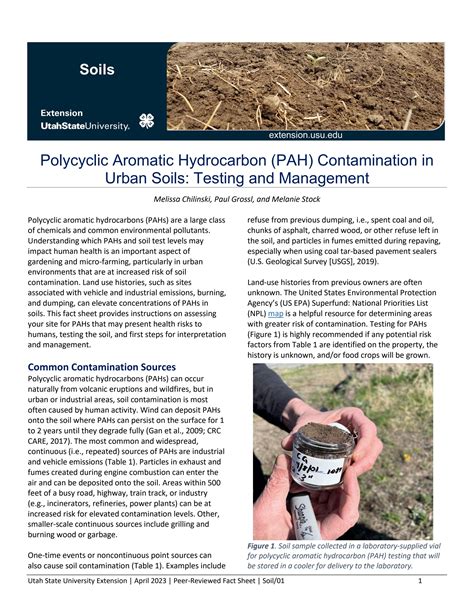 Polycyclic Aromatic Hydrocarbon PAH Contamination In Urban Soils