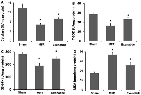 Effects Of Exenatide On Catalase T SOD GSH Px And MDA Levels In Heart