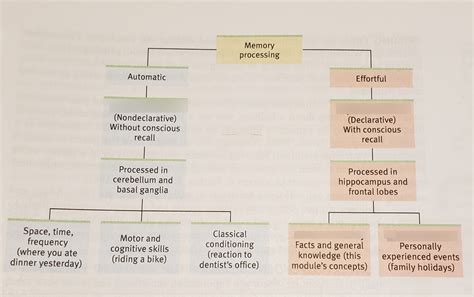 Psychology 101 Memory Diagram Quizlet