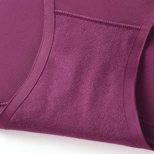 Wealurre Seamless Underwear For Women No Show Panties Soft Stretch Hipster Bikini Underwears