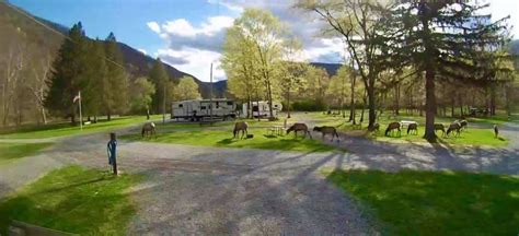 Elk Country Campground - RV Camping, Tent Camping