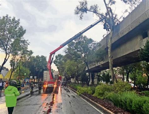 Tormenta de anoche causa caos Metro CDMX suspendido árboles caídos