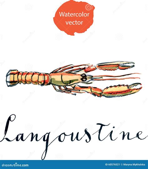 Orange Langoustine Stock Vector Illustration Of Food 60576521