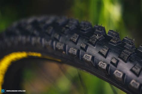 Pirelli Scorpion Race Enduro M First Ride Review The Grip Of Change